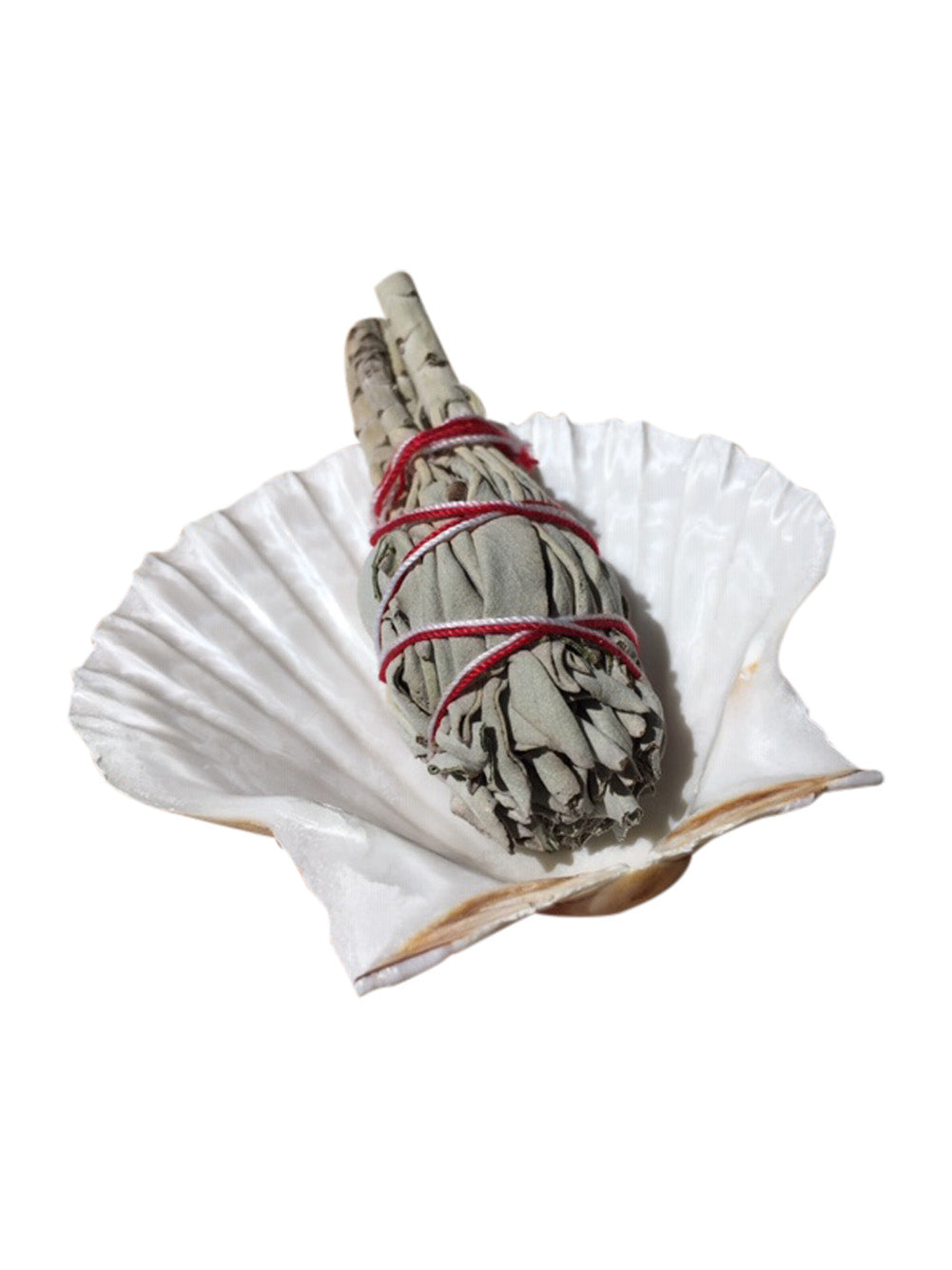 Californian White Sage Smudge Stick with Scallop Shell and Wooden Tripod Stand