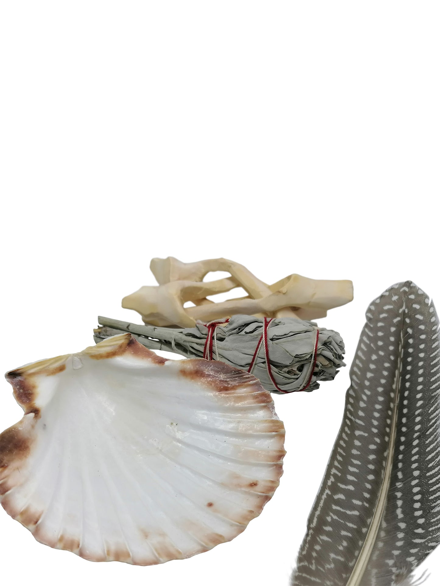 Scallop Shell Smudging Kit with White Sage, Feather and stand