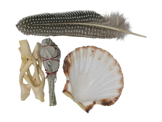 Scallop Shell Smudging Kit with White Sage, Feather and stand